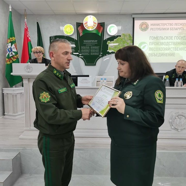 gomelskiiopytnyileskhoz 2 post 19 11 2024 21 41 003504941919717843888