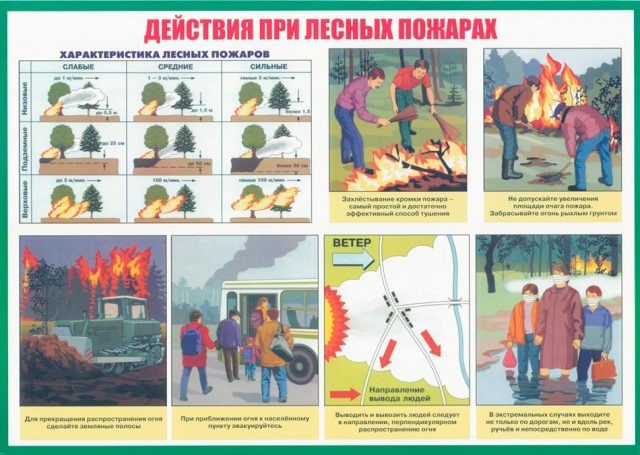 20200702 pojar v lesu